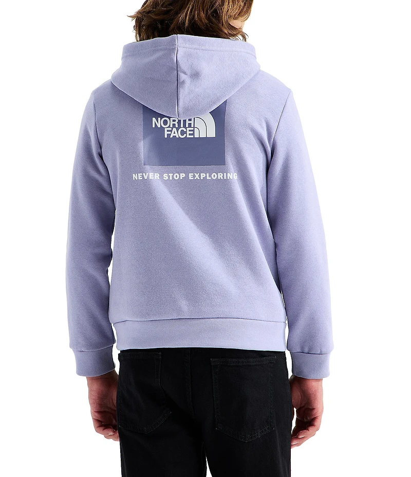 The North Face Big Kids Evolution Box NSE Pullover Hoodie