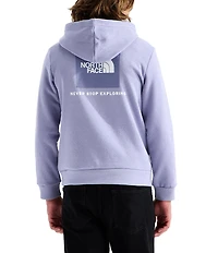 The North Face Big Kids Evolution Box NSE Pullover Hoodie