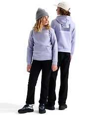 The North Face Big Kids Evolution Box NSE Pullover Hoodie