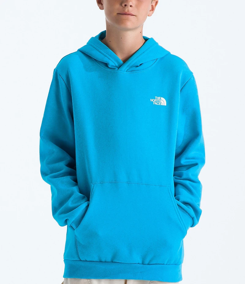 The North Face Big Kids Evolution Box NSE Pullover Hoodie