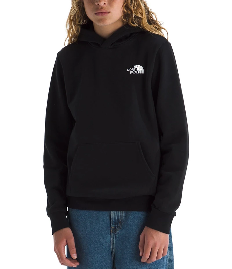 The North Face Big Kids Evolution Box NSE Pullover Hoodie