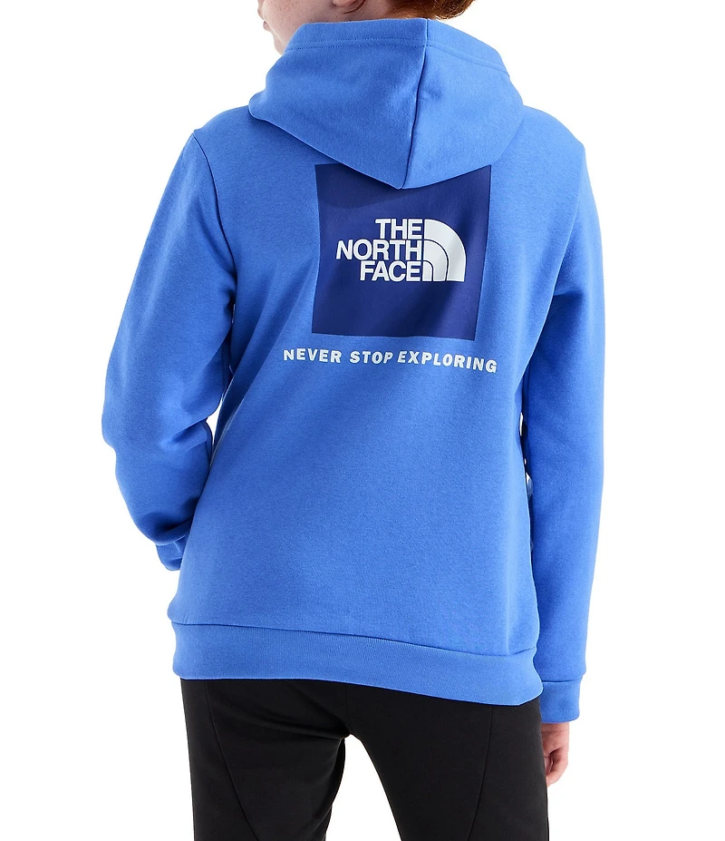 The North Face Big Kids Evolution Box NSE Pullover Hoodie
