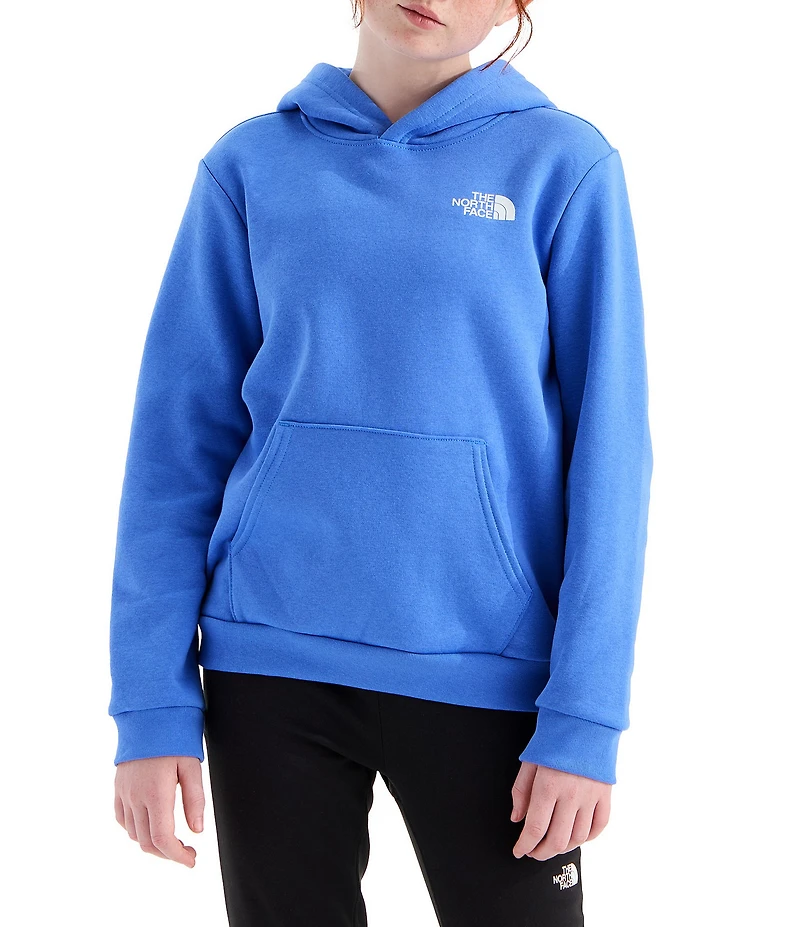 The North Face Big Kids Evolution Box NSE Pullover Hoodie