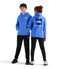 The North Face Big Kids Evolution Box NSE Pullover Hoodie
