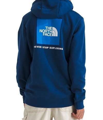 The North Face Big Kids Evolution Box NSE Pullover Hoodie
