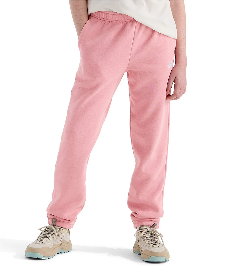 The North Face Big Kids Evolution EMB Jogger Pants