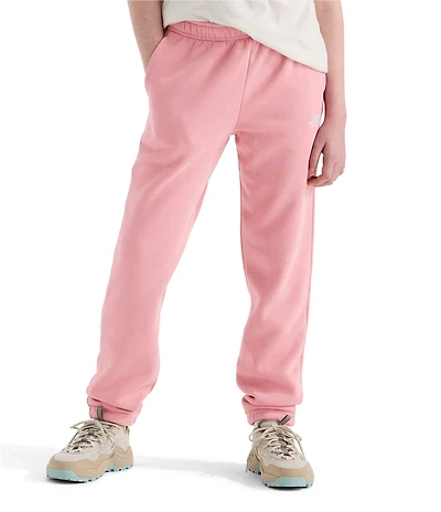 The North Face Big Kids Evolution EMB Jogger Pants