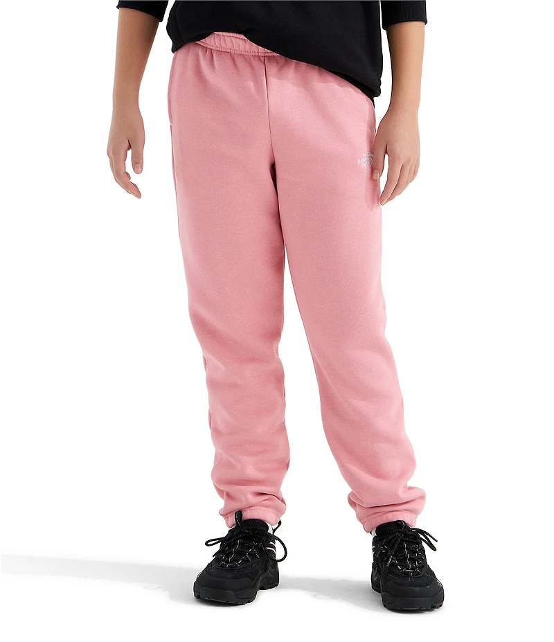 The North Face Big Kids Evolution EMB Jogger Pants