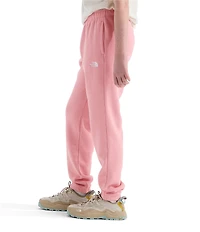 The North Face Big Kids Evolution EMB Jogger Pants