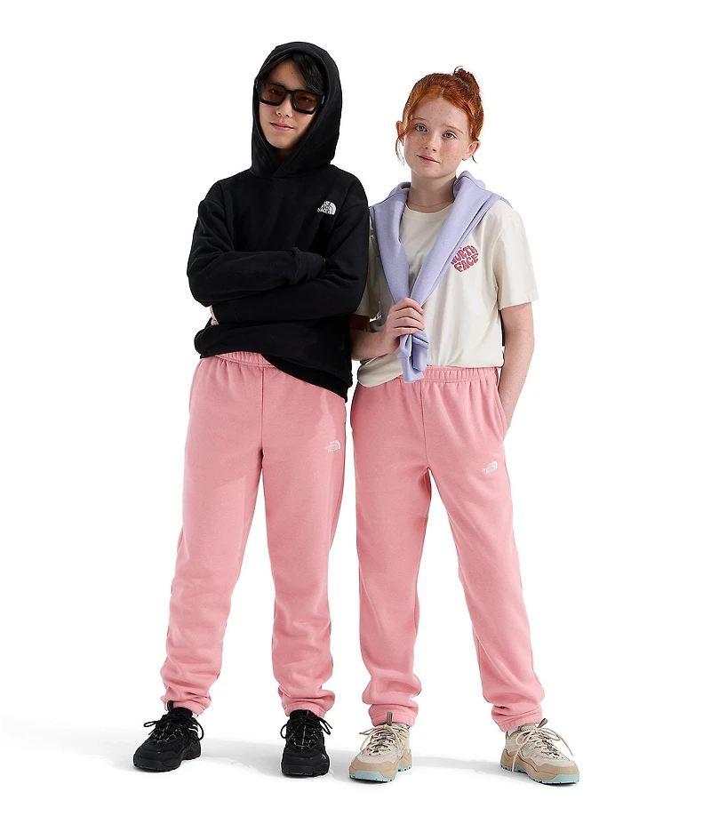 The North Face Big Kids Evolution EMB Jogger Pants