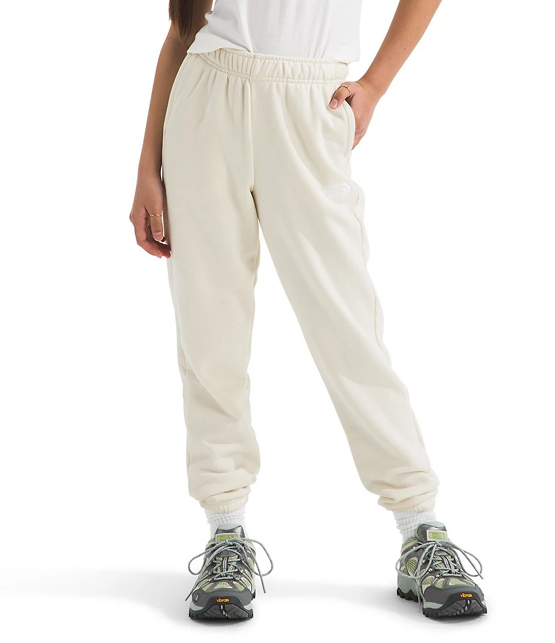 The North Face Big Kids Evolution EMB Jogger Pants