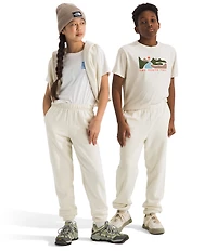 The North Face Big Kids Evolution EMB Jogger Pants