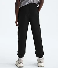 The North Face Big Kids Evolution EMB Jogger Pants