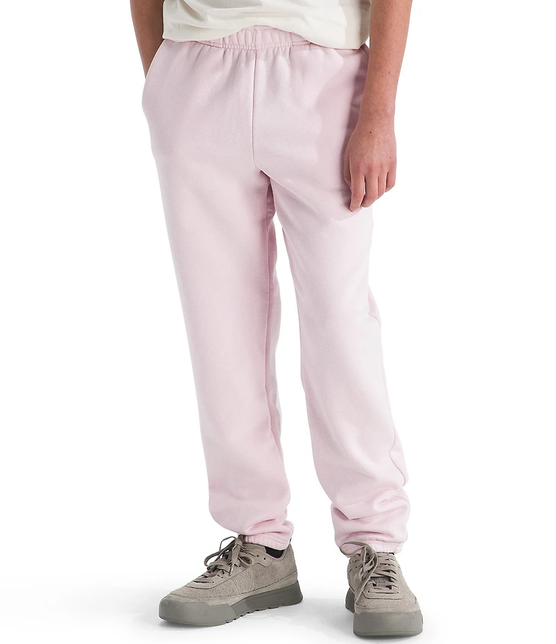 The North Face Big Kids Evolution EMB Jogger Pants