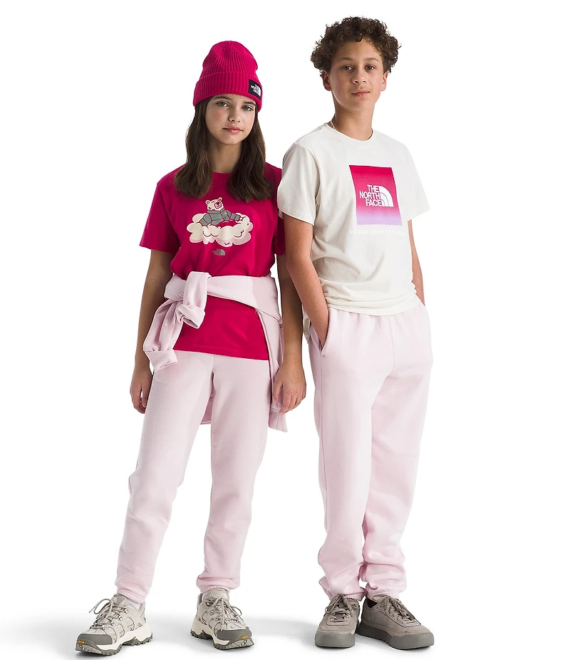 The North Face Big Kids Evolution EMB Jogger Pants