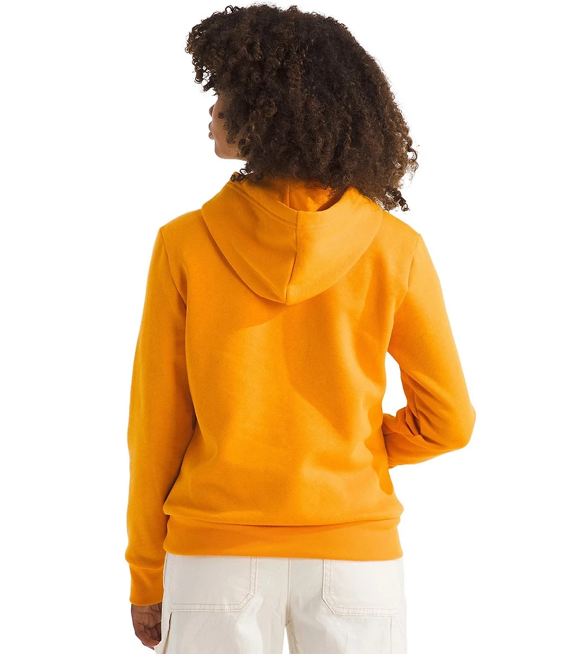 The North Face Big Kids Evolution EMB Pullover Hoodie