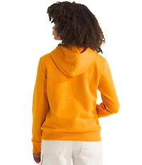 The North Face Big Kids Evolution EMB Pullover Hoodie