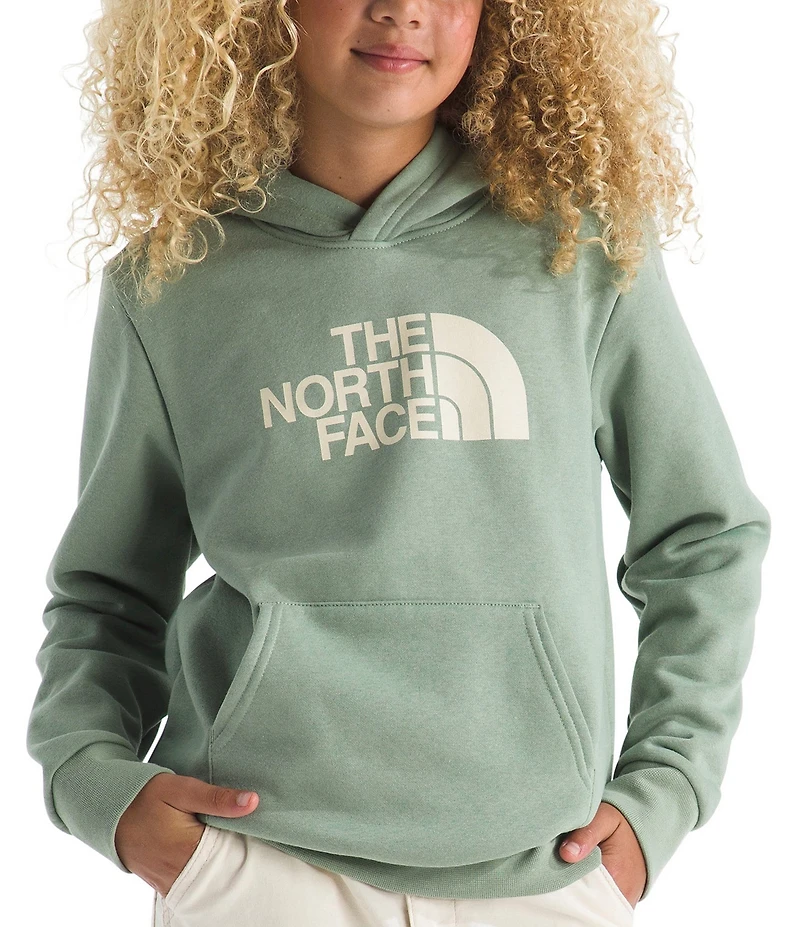 The North Face Big Kids Evolution Half Dome Pullover Hoodie