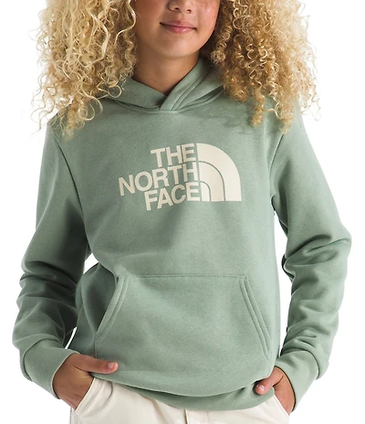 The North Face Big Kids Evolution Half Dome Pullover Hoodie