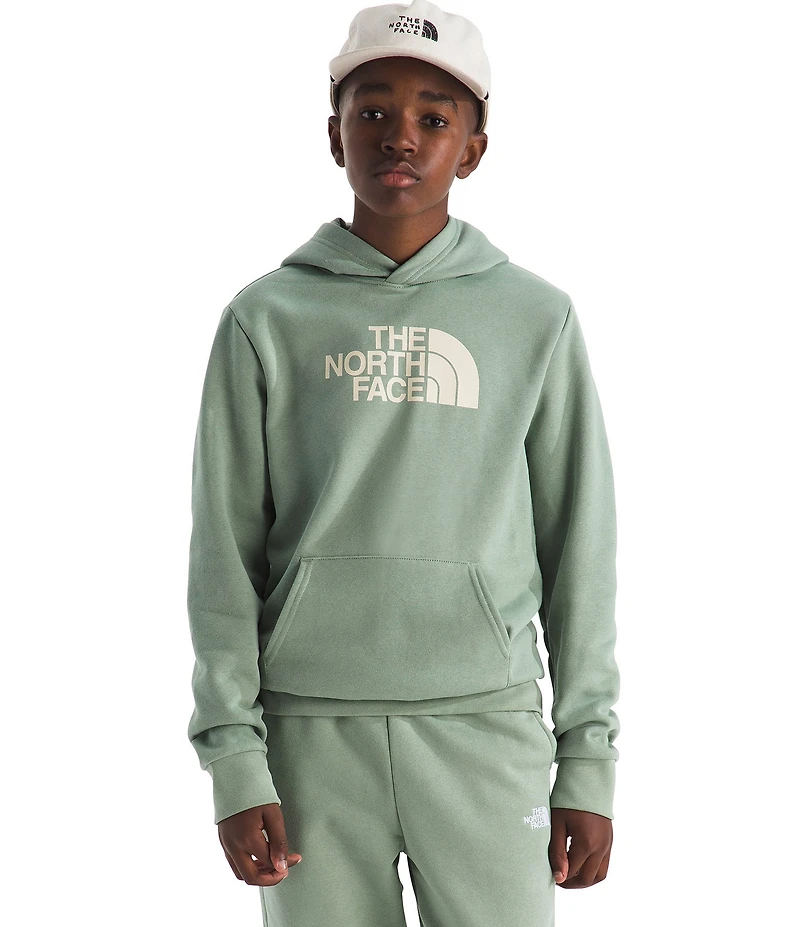 The North Face Big Kids Evolution Half Dome Pullover Hoodie