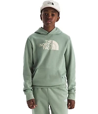 The North Face Big Kids Evolution Half Dome Pullover Hoodie