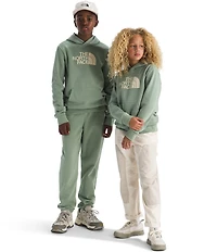 The North Face Big Kids Evolution Half Dome Pullover Hoodie