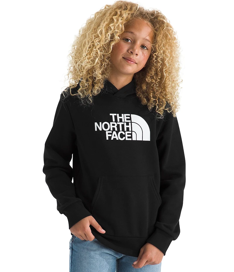 The North Face Big Kids Evolution Half Dome Pullover Hoodie