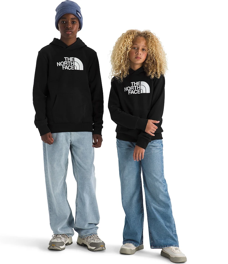 The North Face Big Kids Evolution Half Dome Pullover Hoodie