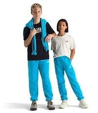 The North Face Big Kids Evolution Simple Dome Pants