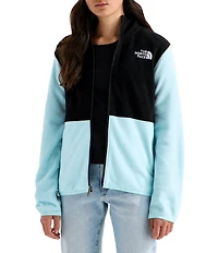 The North Face Big Kids Glacier Full Zip Hoodie