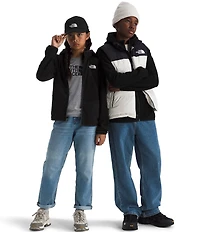 The North Face Big Kids Glacier Full Zip Hoodie
