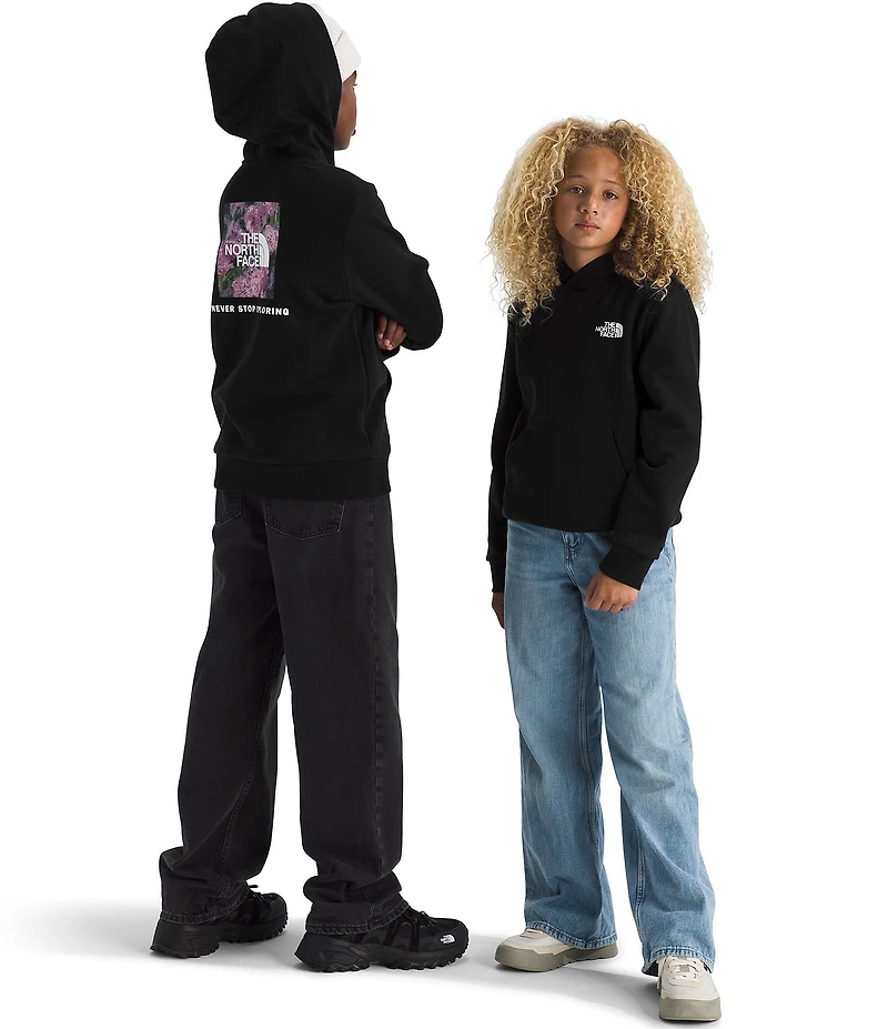 The North Face Big Kids Graphic Evolution Box NSE Pullover Hoodie
