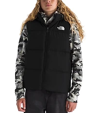 The North Face Big Kids North Down Hooded Vest