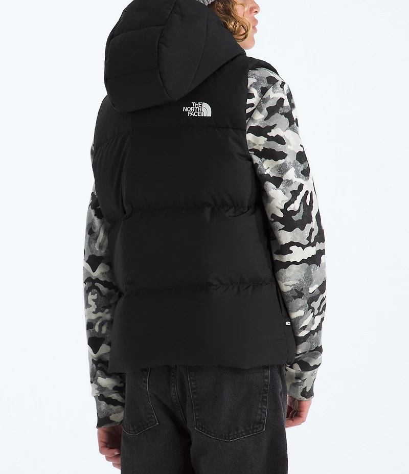 The North Face Big Kids North Down Hooded Vest
