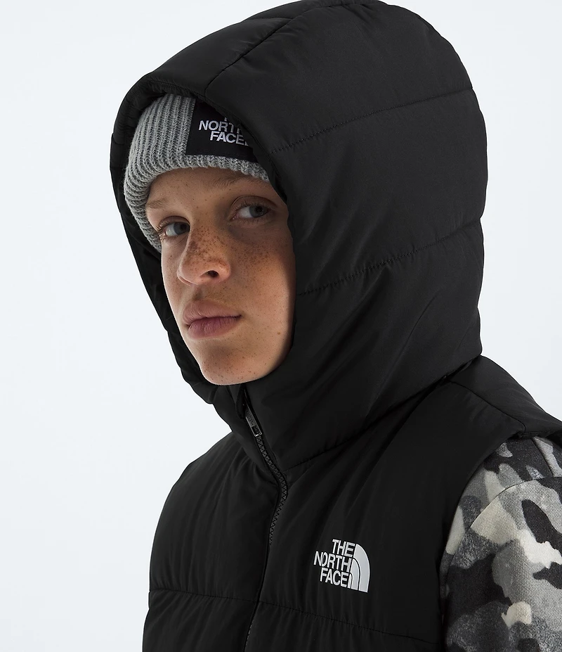 The North Face Big Kids North Down Hooded Vest