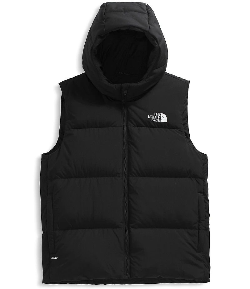 The North Face Big Kids North Down Hooded Vest