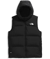 The North Face Big Kids North Down Hooded Vest