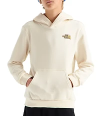 The North Face Big Kids Outdoor Regular Graphic Hoodie