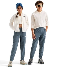 The North Face Big Kids Perlino Soft Shell Pants