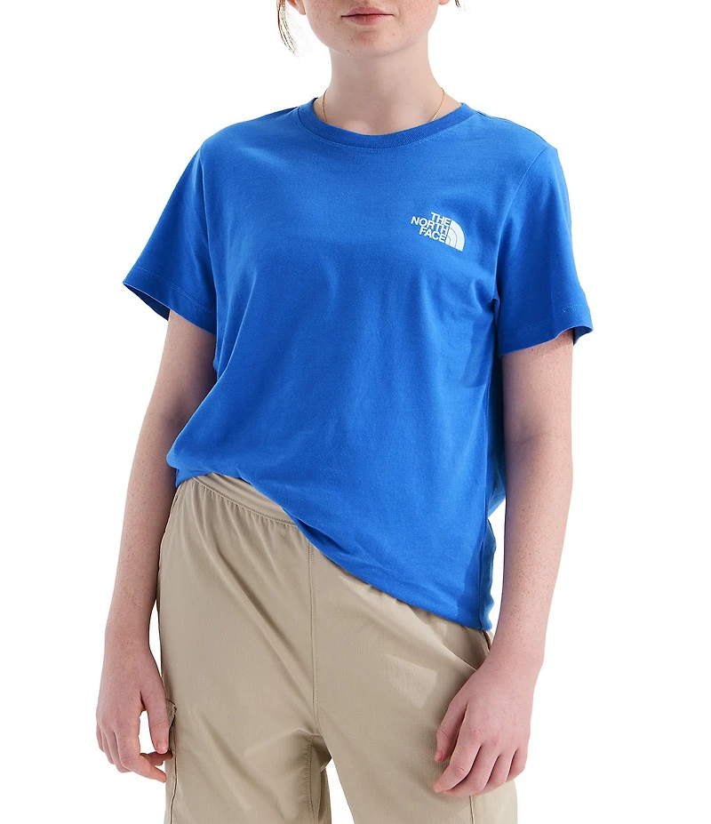 The North Face Big Kids Short Sleeve Evolution Box NSE T-Shirt