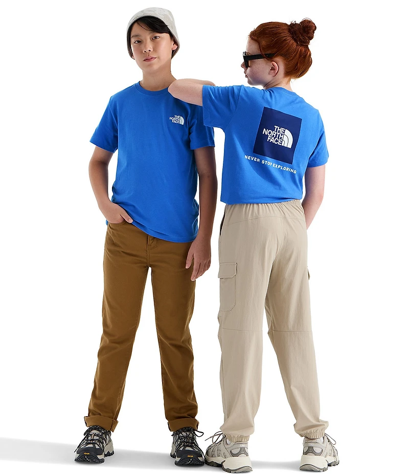 The North Face Big Kids Short Sleeve Evolution Box NSE T-Shirt