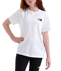 The North Face Big Kids Short Sleeve Evolution Box NSE T-Shirt