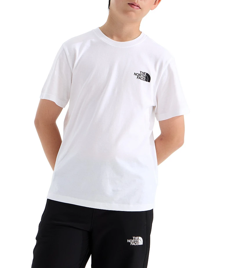 The North Face Big Kids Short Sleeve Evolution Box NSE T-Shirt