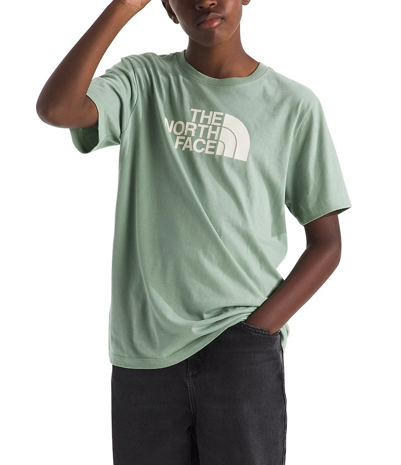 The North Face Big Kids Short Sleeve Evolution Half Dome T-Shirt