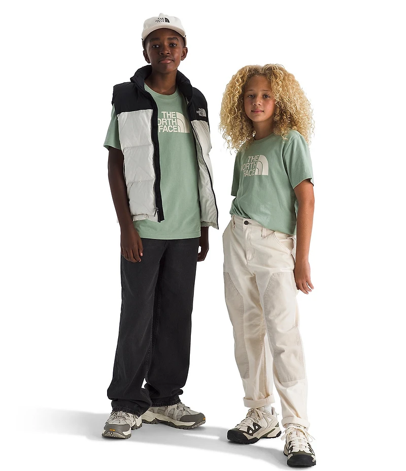 The North Face Big Kids Short Sleeve Evolution Half Dome T-Shirt