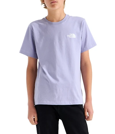 The North Face Big Kids Short Sleeves Evolution Box NSE T-Shirt