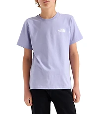 The North Face Big Kids Short Sleeves Evolution Box NSE T-Shirt