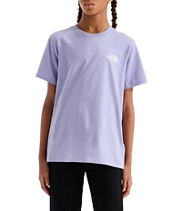 The North Face Big Kids Short Sleeves Evolution Box NSE T-Shirt