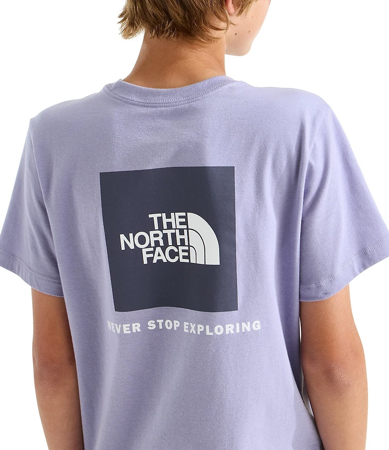 The North Face Big Kids Short Sleeves Evolution Box NSE T-Shirt