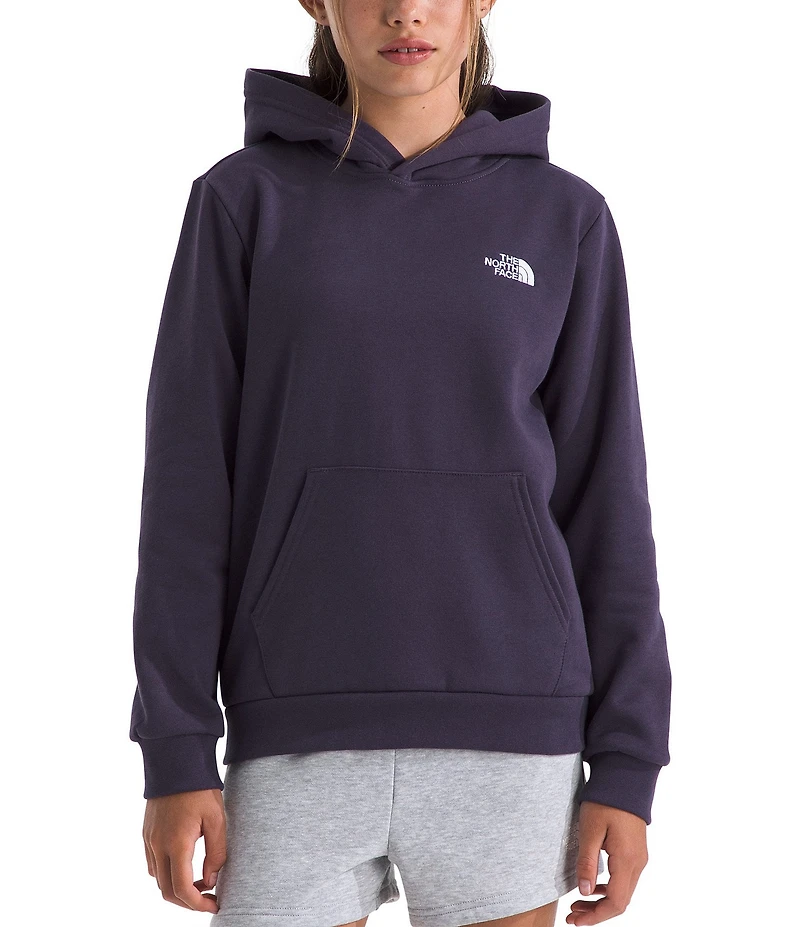 The North Face Big Kids Teen Evolution Simple Dome Pullover Hoodie